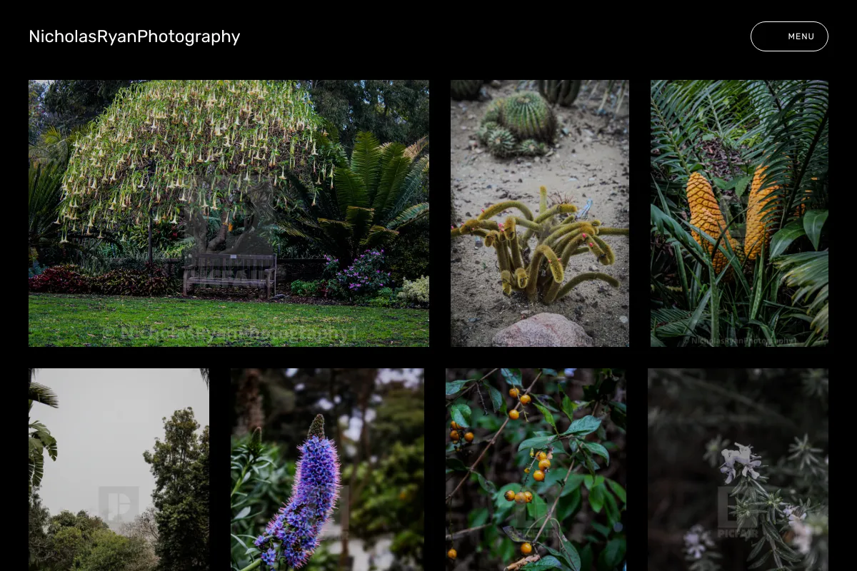 NicholasRyanPhotography