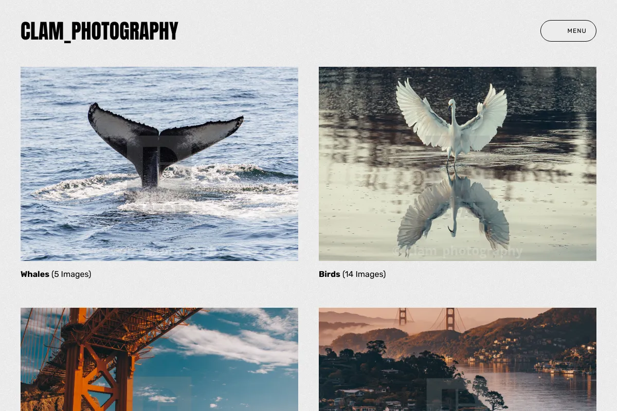 Clam_photography