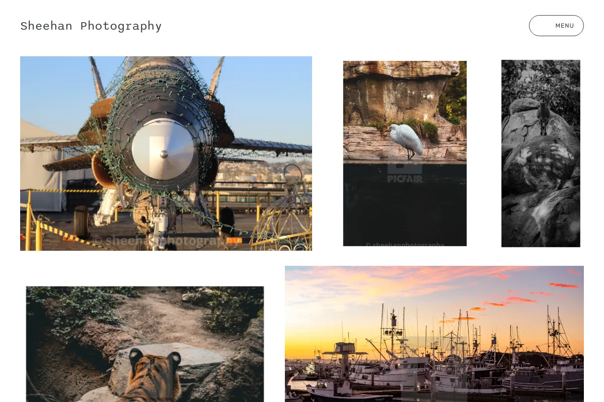 Sheehan Photography
