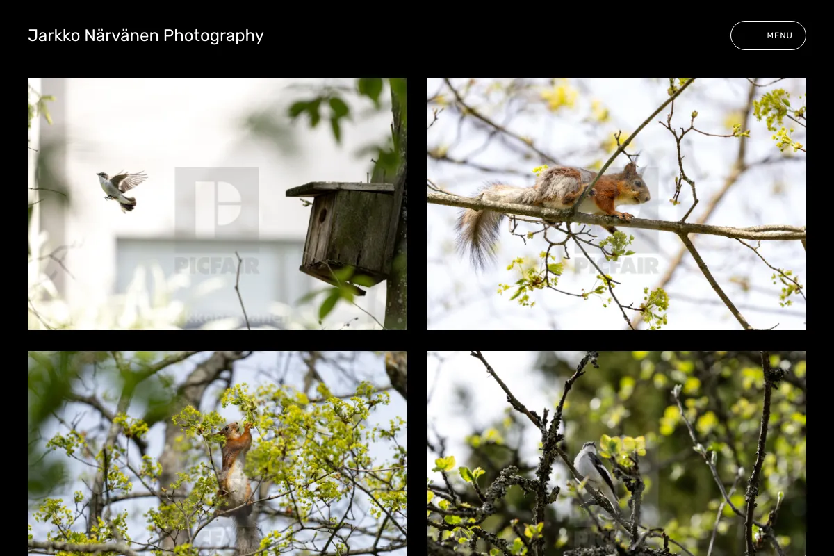 Jarkko Närvänen Photography