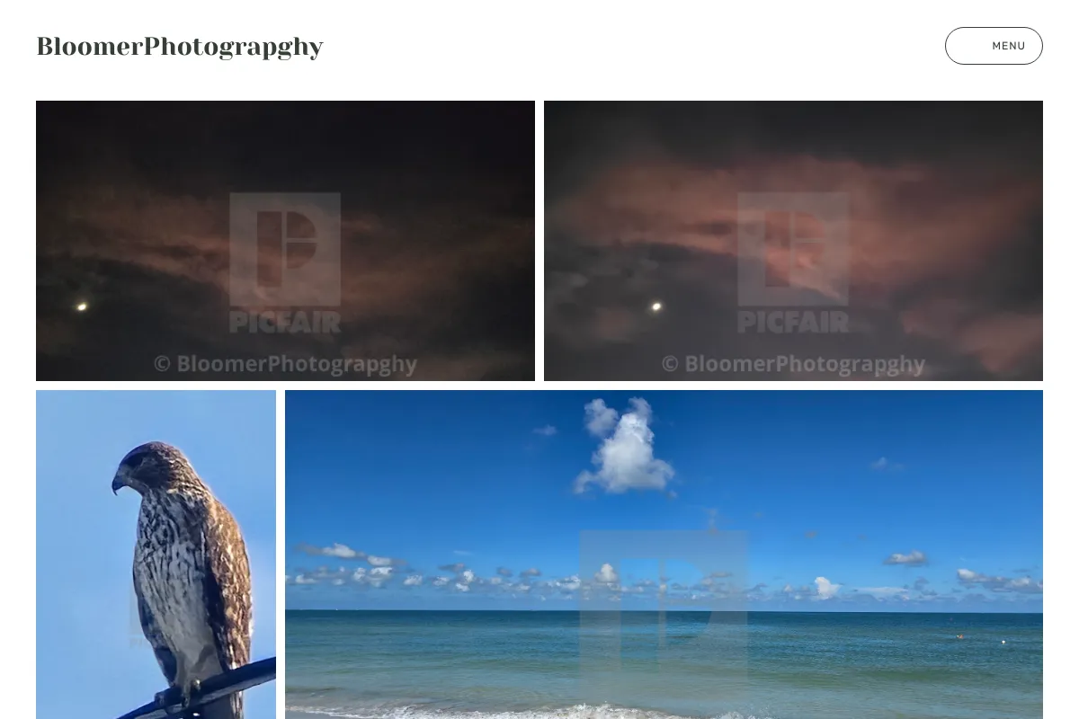 BloomerPhotograpghy