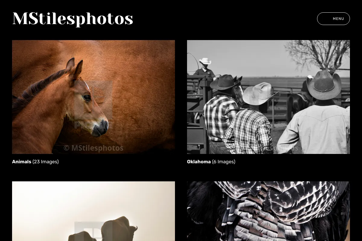 MStilesphotos
