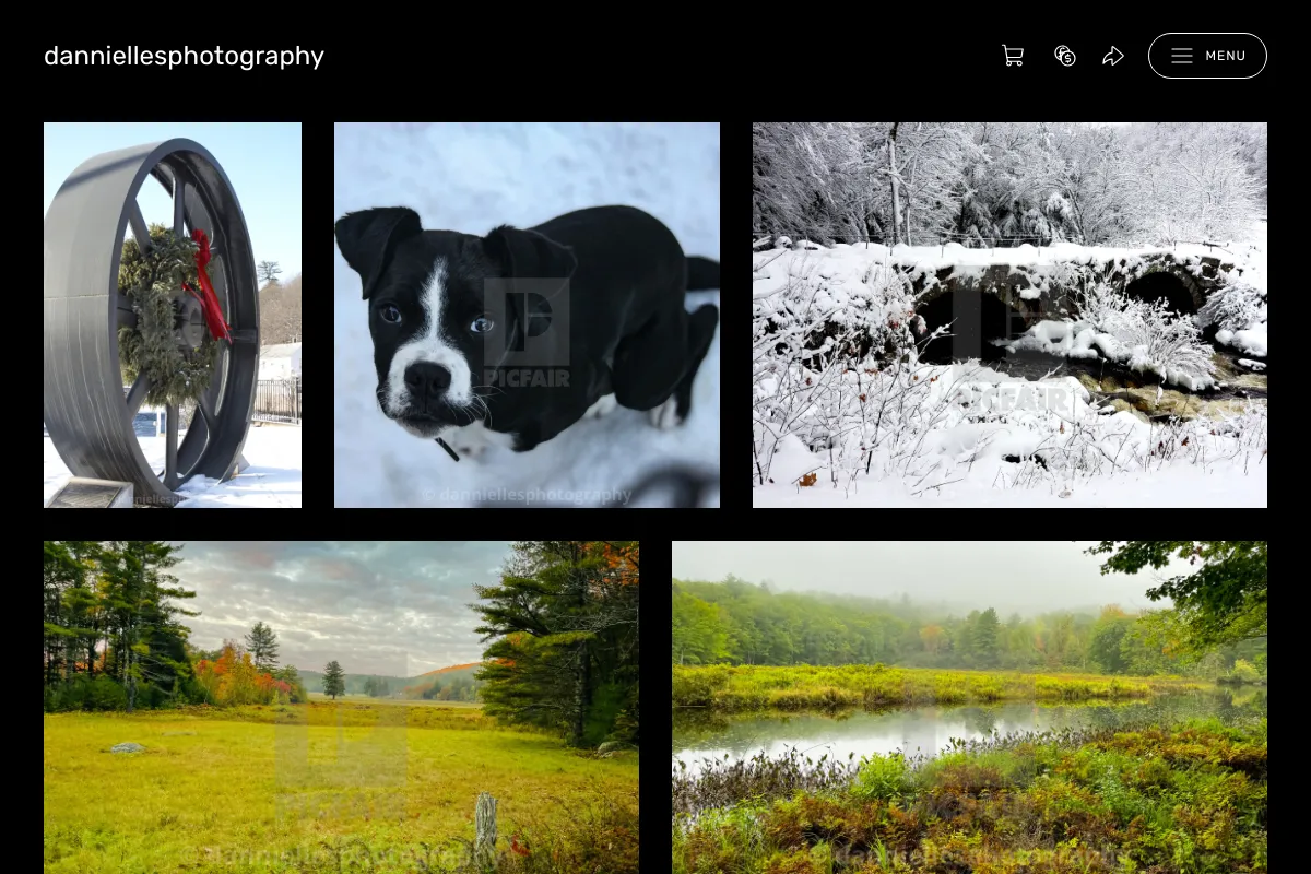 danniellesphotography