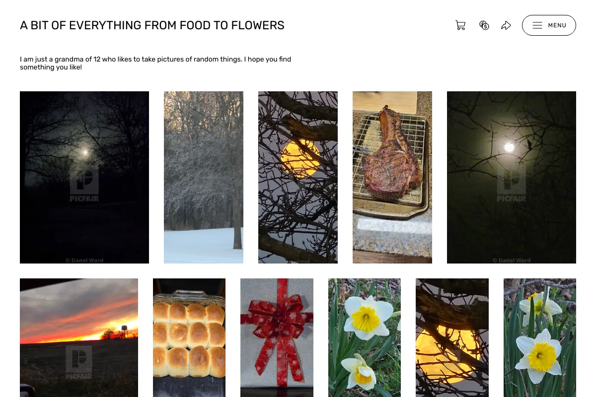 A BIT OF EVERYTHING  FROM FOOD TO FLOWERS
