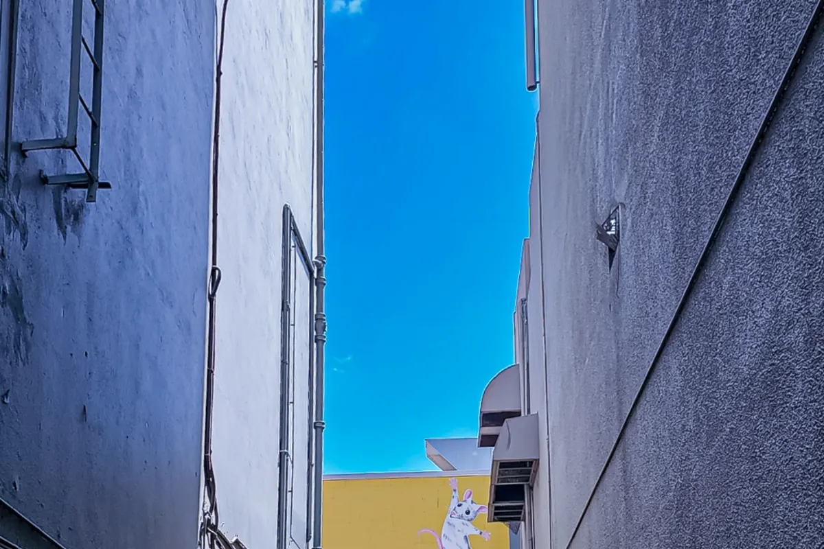 MyPhotographyTownsville