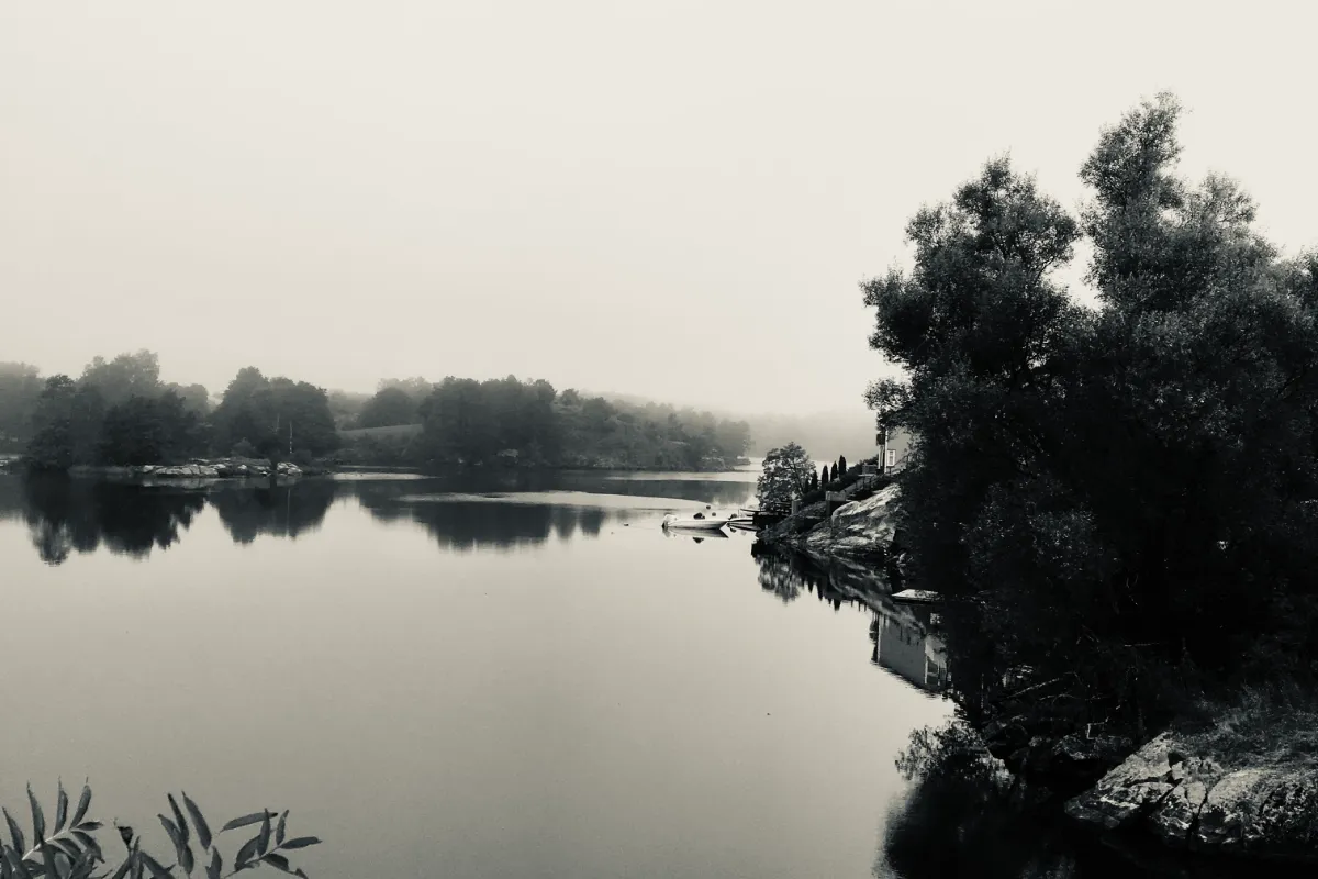 Jens S. Photography | Visual Storyteller