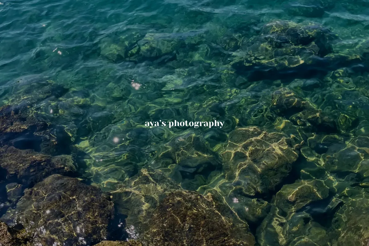aya’s photography