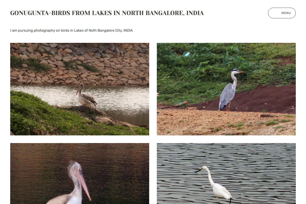 gonugunta-birds from Lakes in North Bangalore, INDIA 