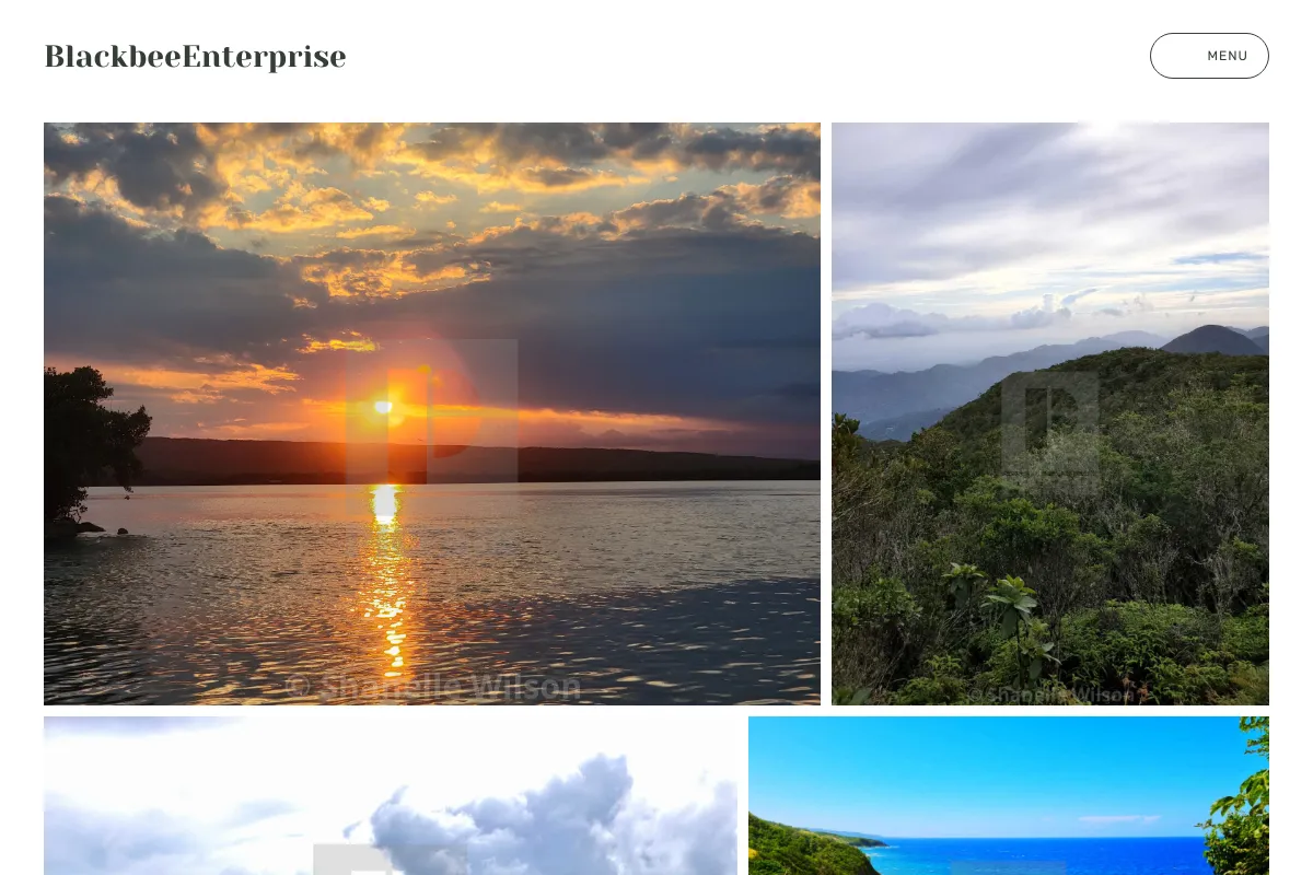 BlackbeeEnterprise