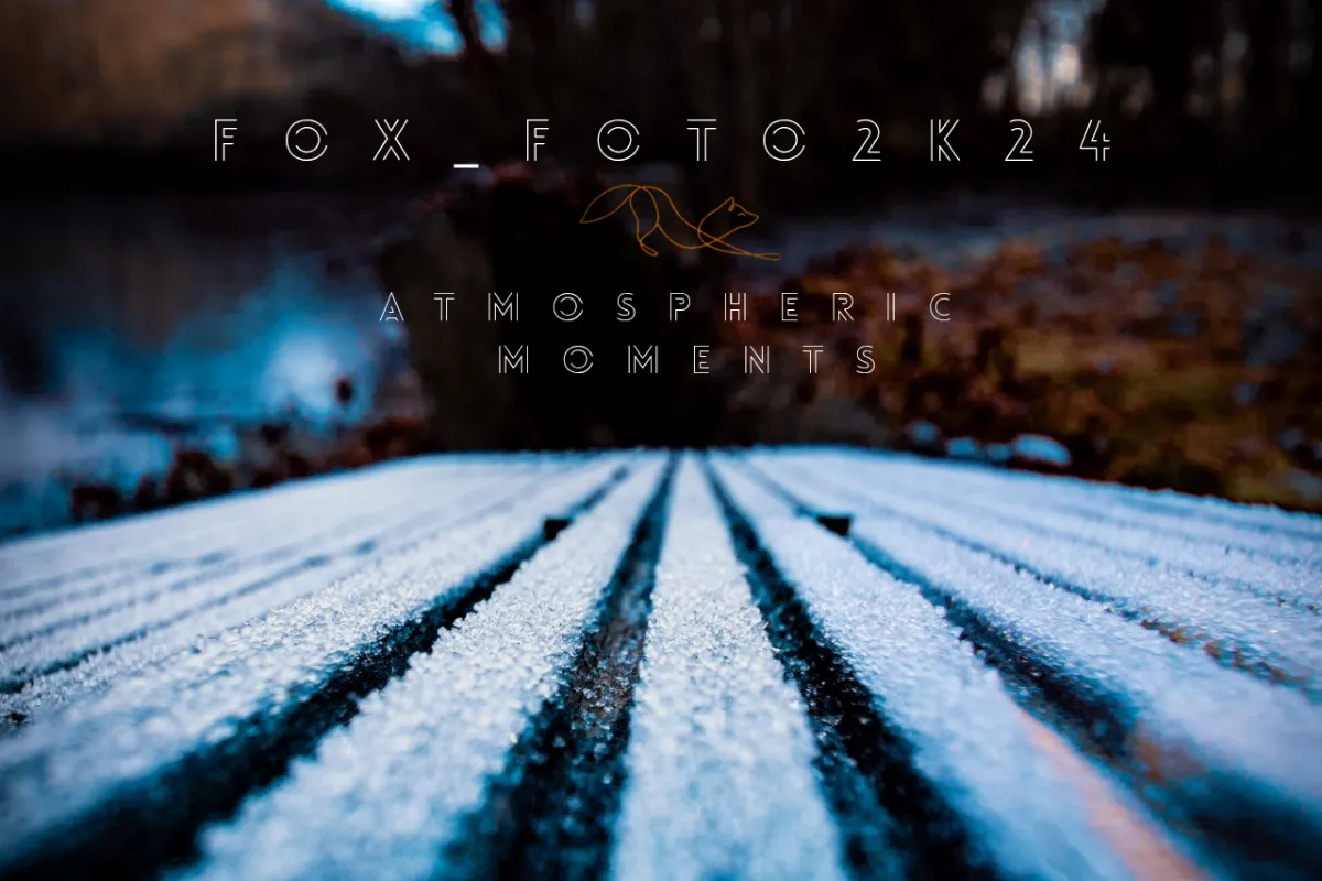 FOX_FOTO2k24