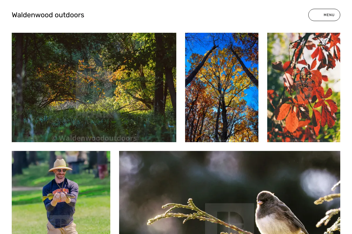 Waldenwood outdoors