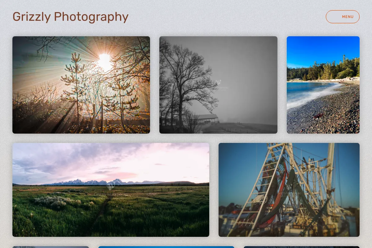 Grizzly Photography