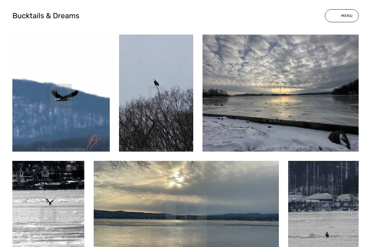 Bucktails & Dreams 