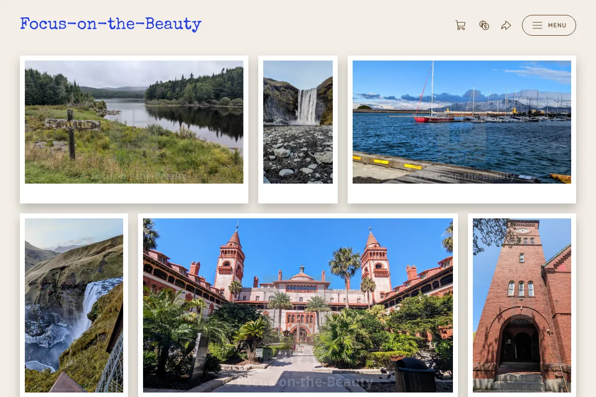 Focus-on-the-Beauty