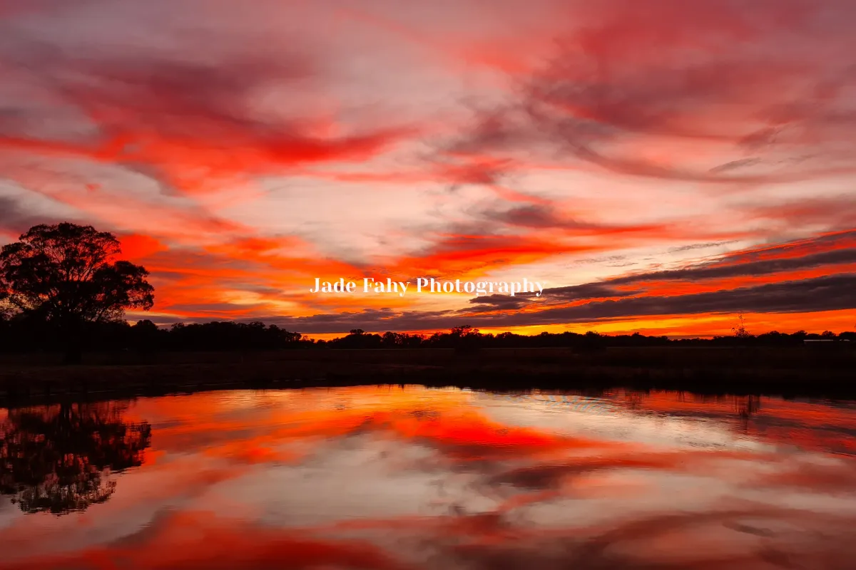Jade Fahy Photography