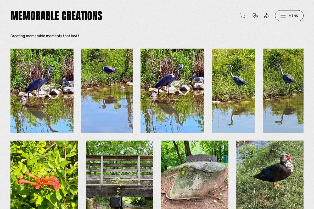 Memorable Creations
