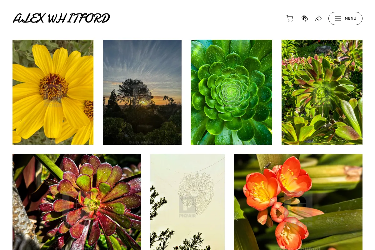 Alex Whitford