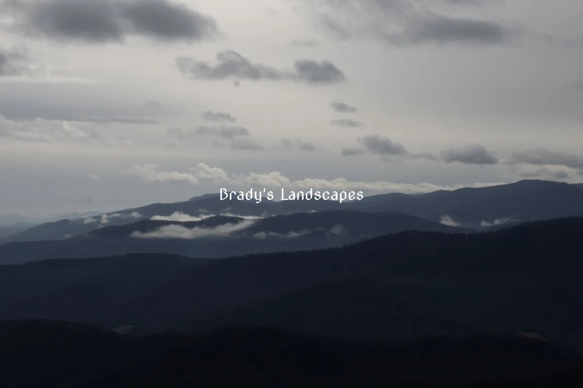 Brady's Landscapes
