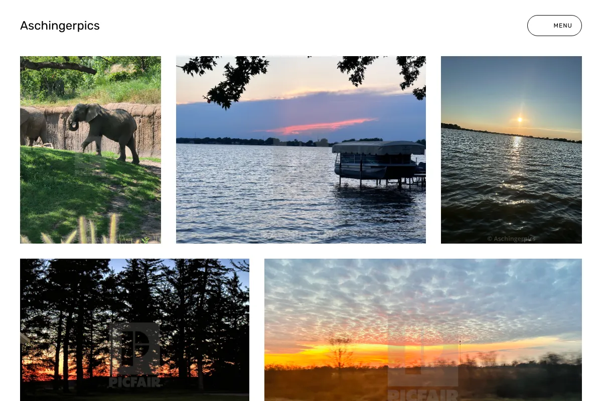 Aschingerpics