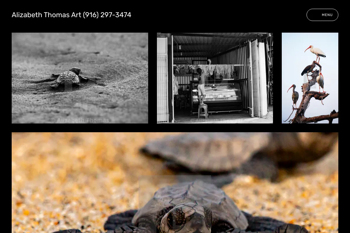 Alizabeth Thomas Art                         (916) 297-3474