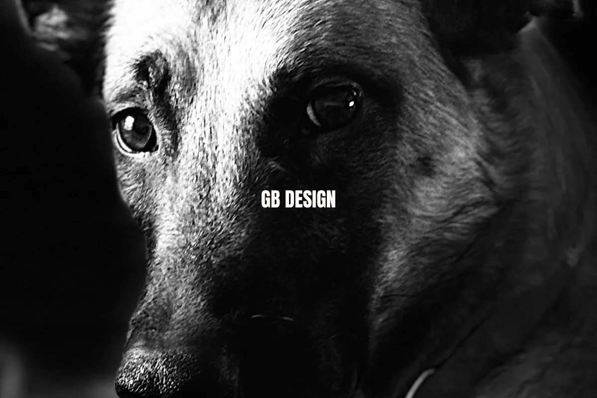 GB design