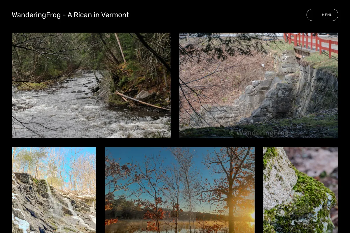 WanderingFrog - A Rican in Vermont