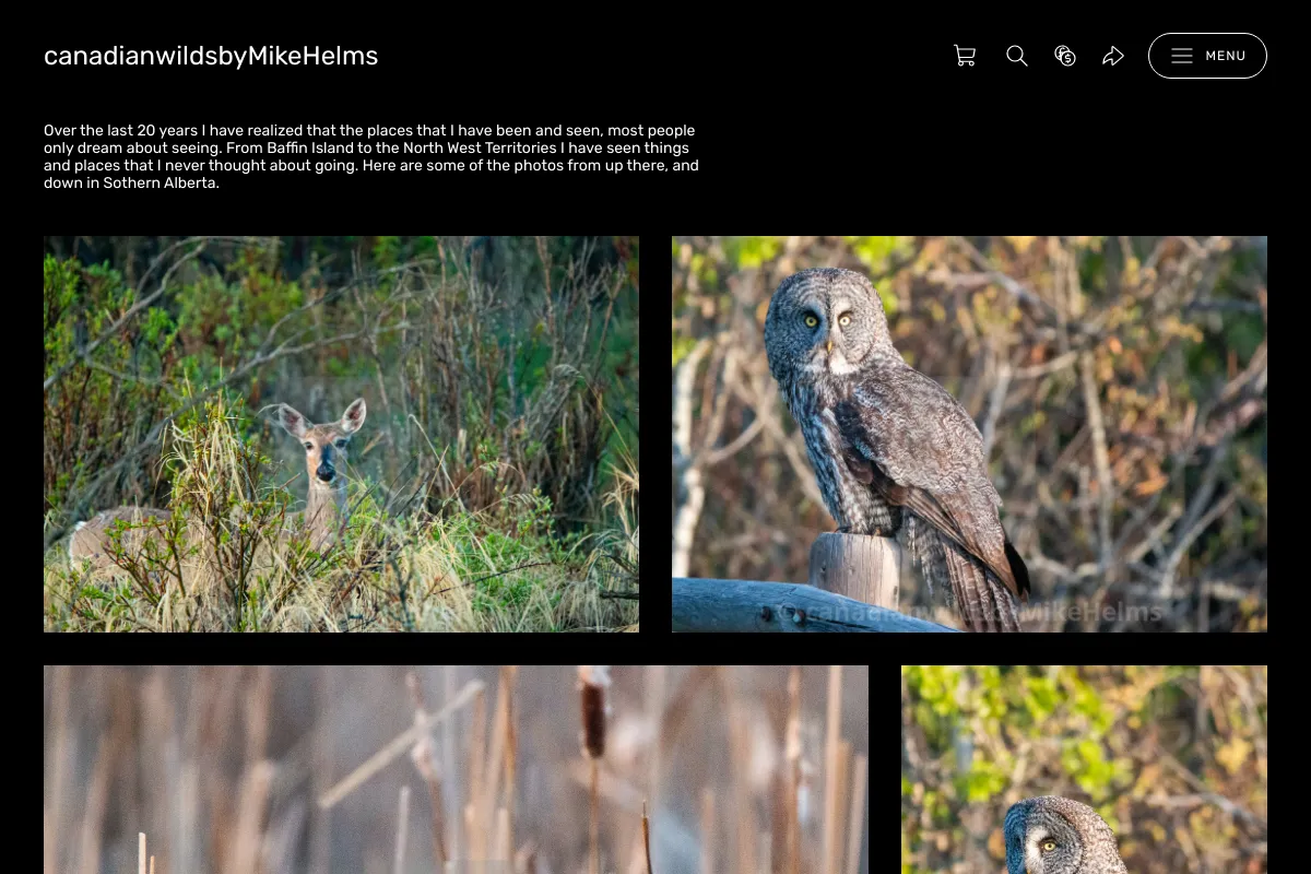 canadianwildsbyMikeHelms