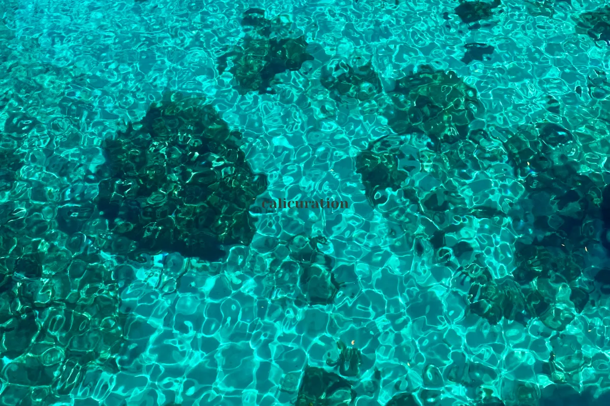 calicuration