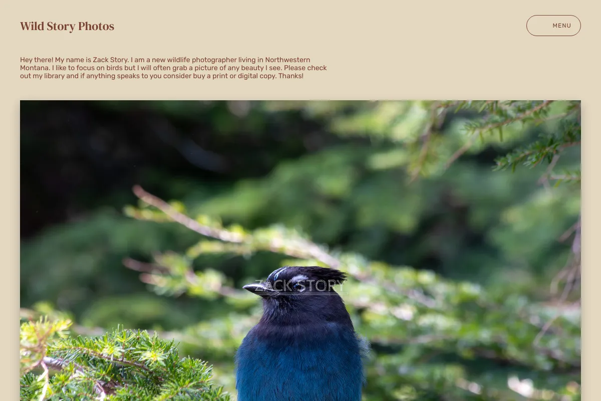 Wild Story Photos