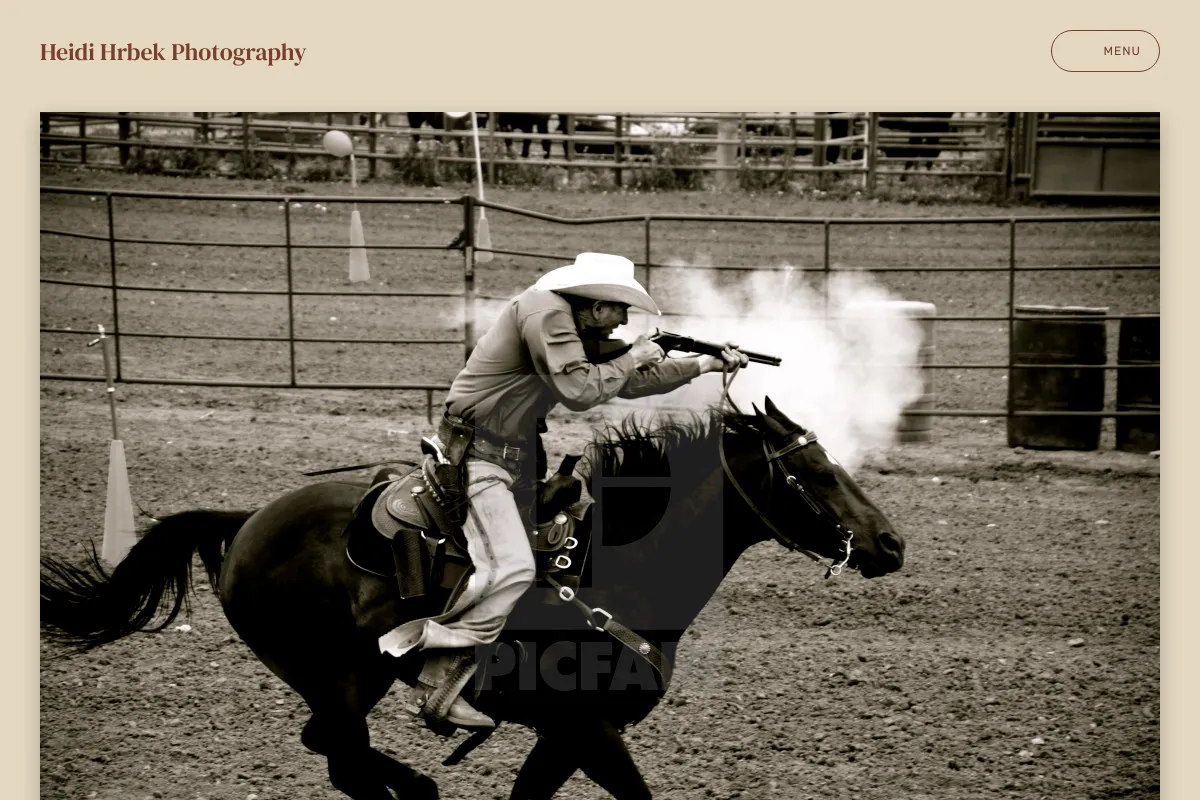 Heidi Hrbek Photography