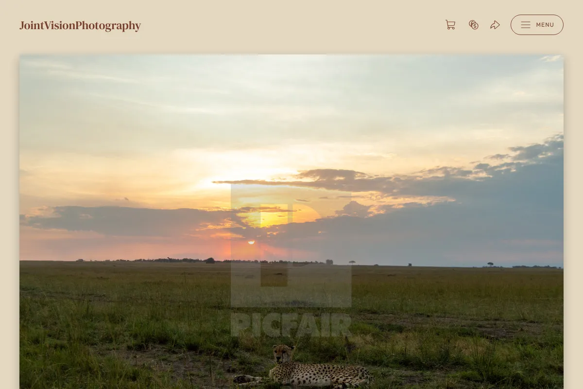 JointVisionPhotography