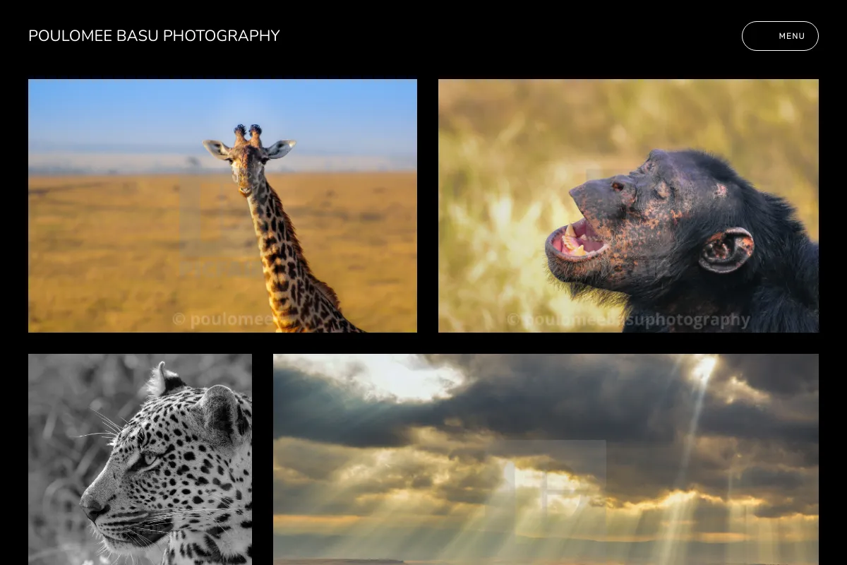 Poulomee Basu Photography