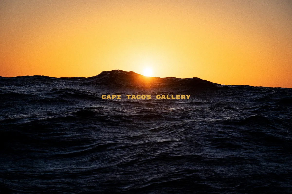 Capi Taco's Gallery