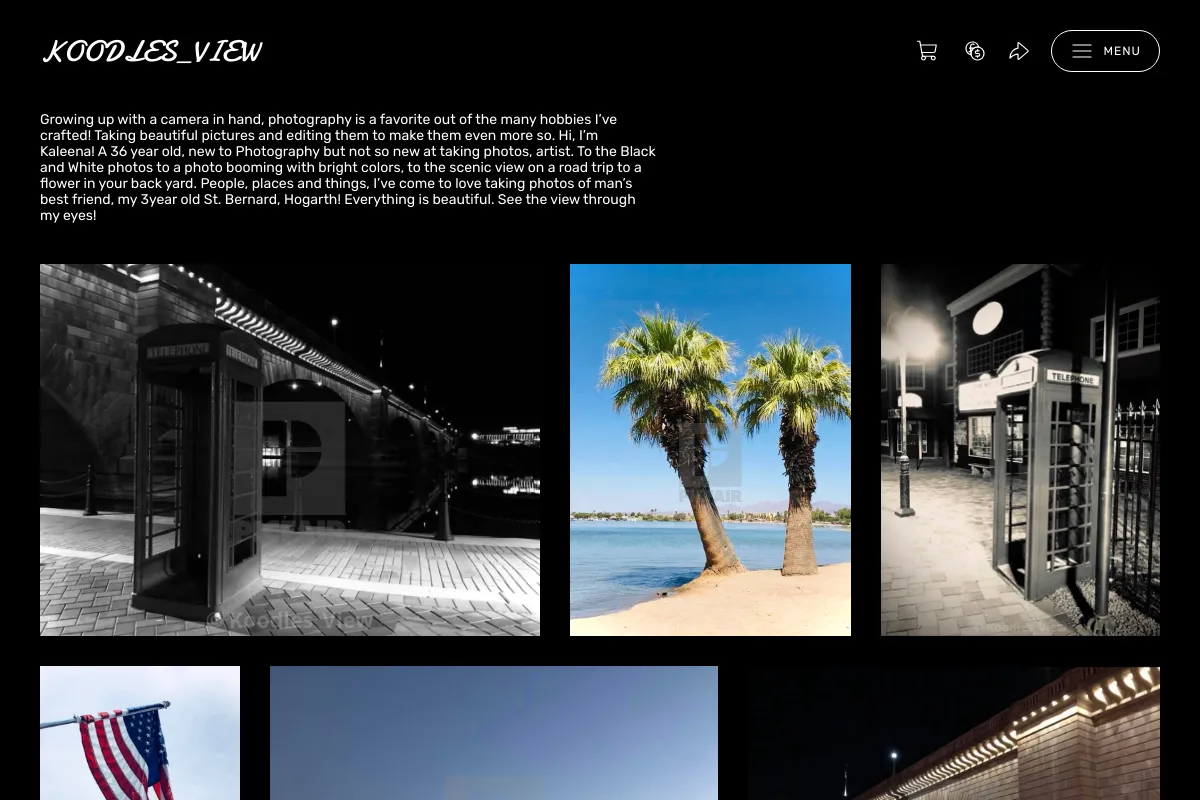 Koodles_View