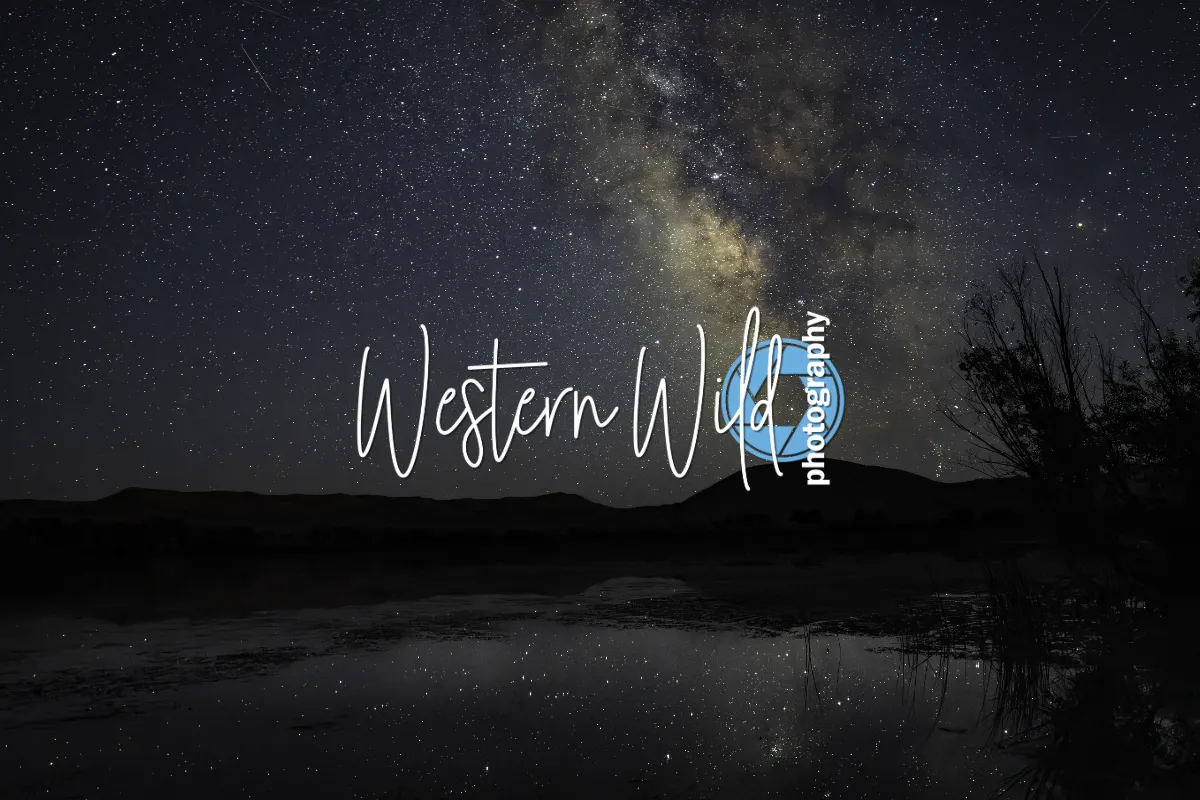 Western Wild Photography