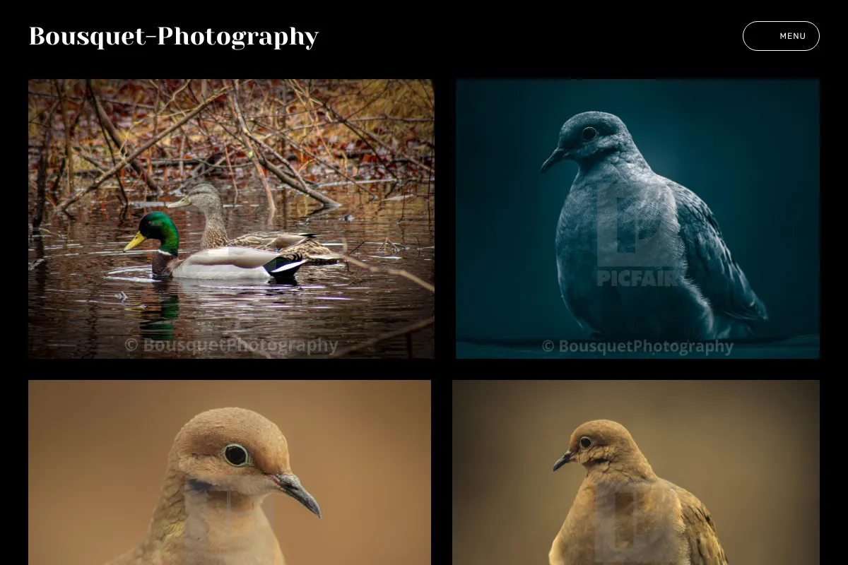 Bousquet-Photography