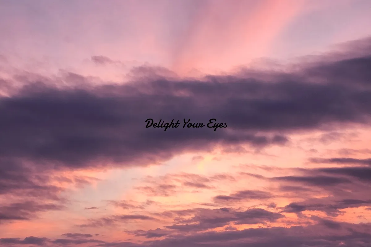 Delight Your Eyes