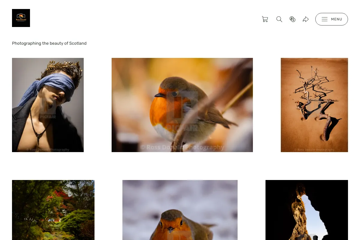 Ross Donald Photography