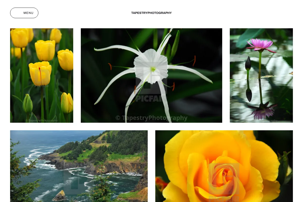 TapestryPhotography