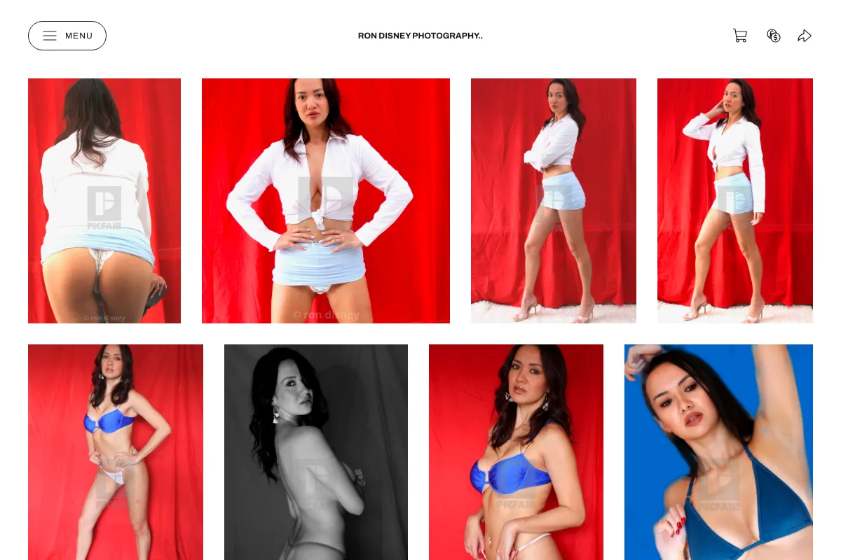 ron disney photography..