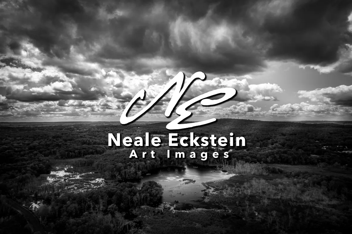 Neale Eckstein