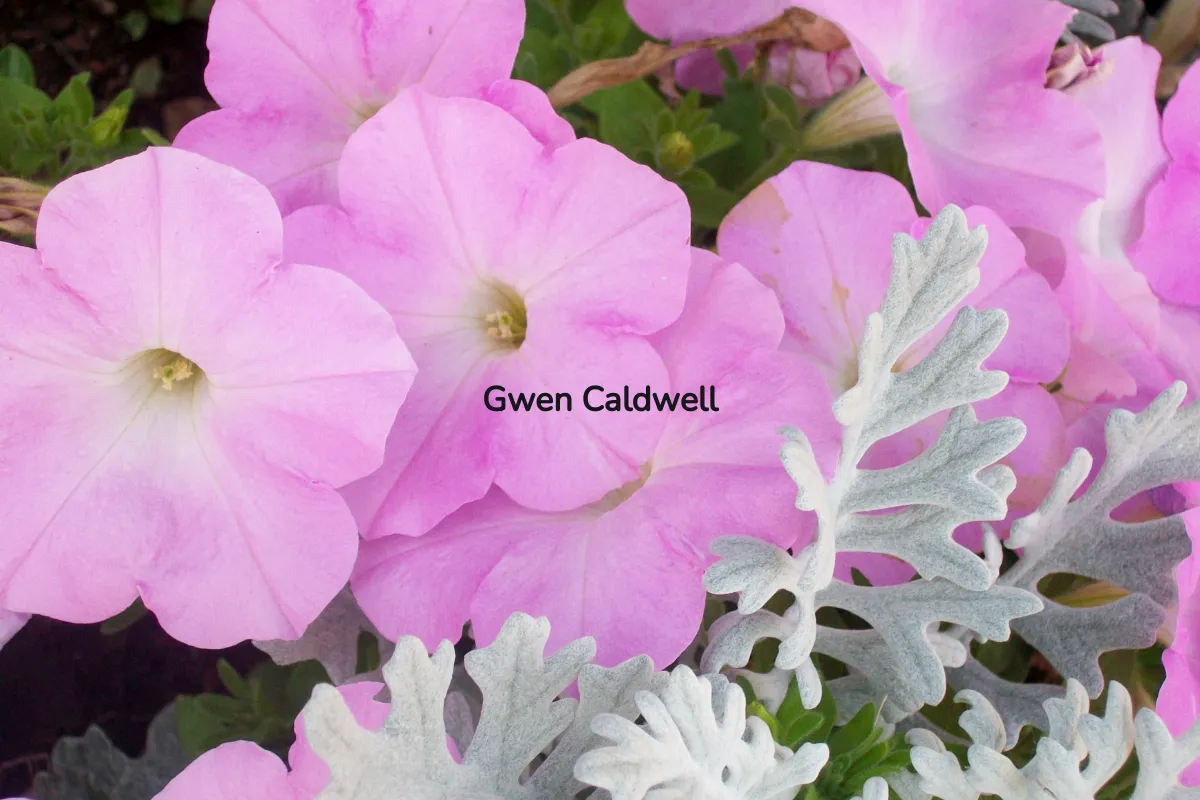 Gwen Caldwell