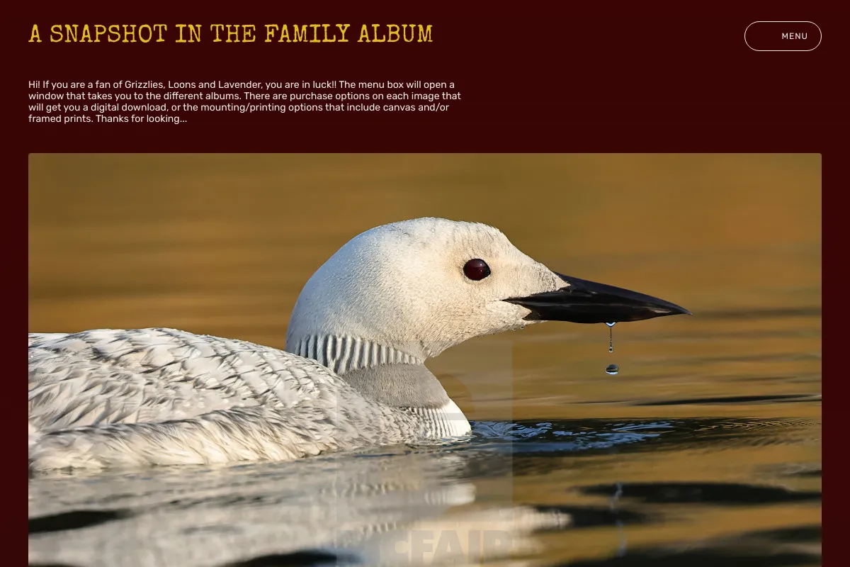 A Snapshot in the Family Album