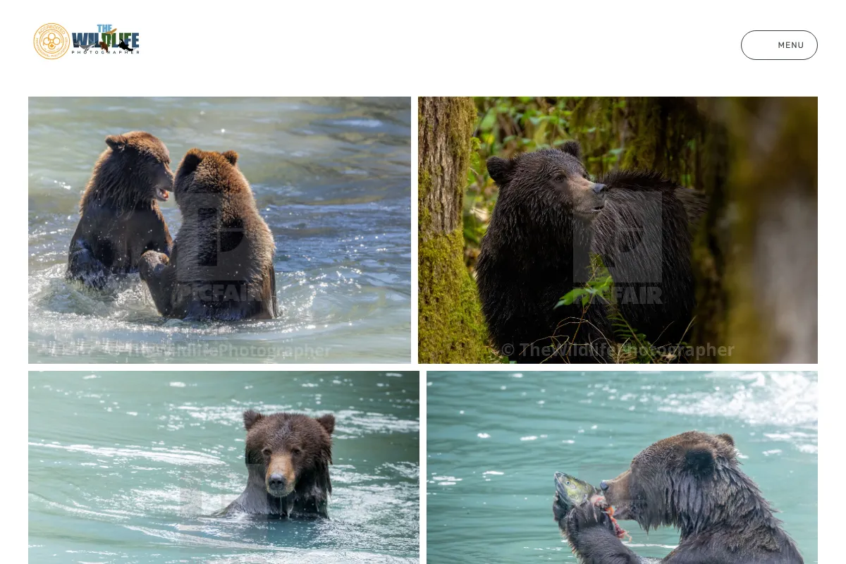 thewildlifephotographer