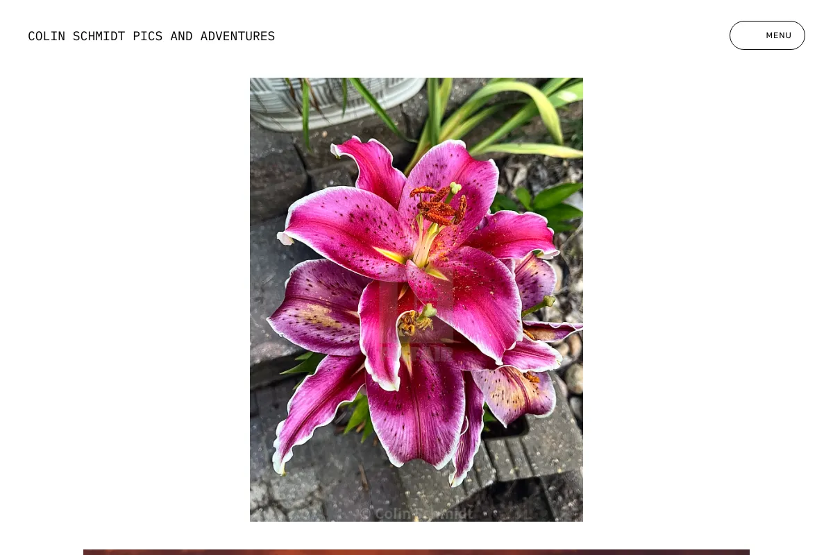 Colin Schmidt pics and adventures 
