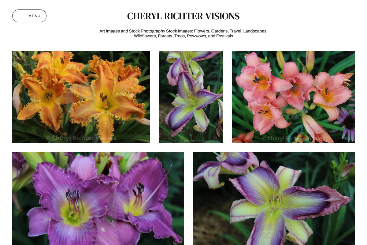 Cheryl Richter Visions