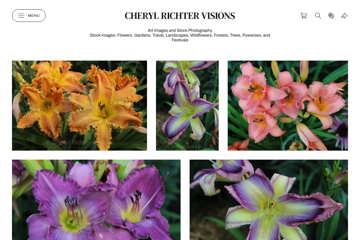 Cheryl Richter Visions