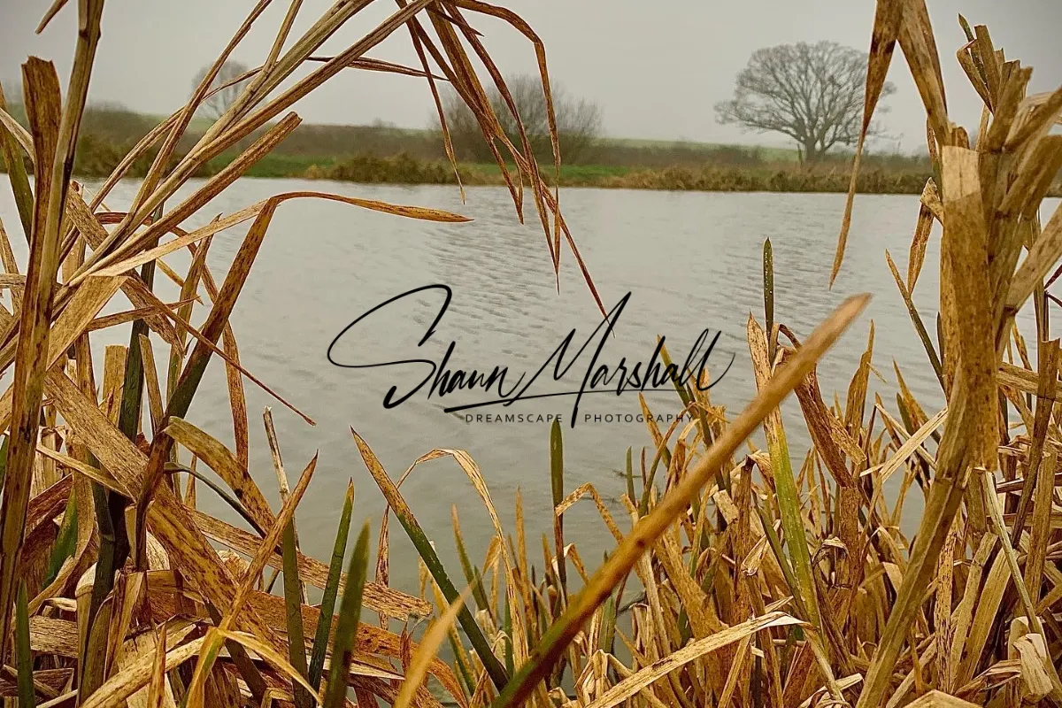 MARSHALL S.A photography 