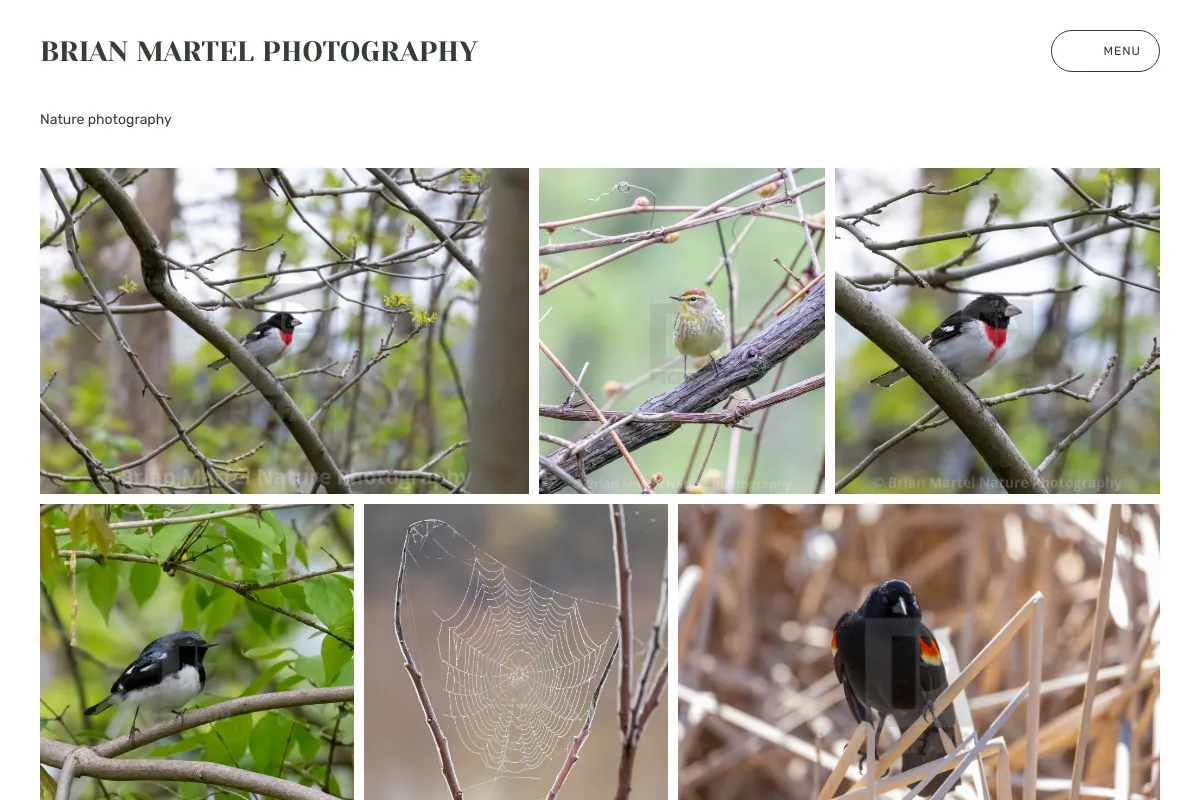 BRIAN MARTEL PHOTOGRAPHY