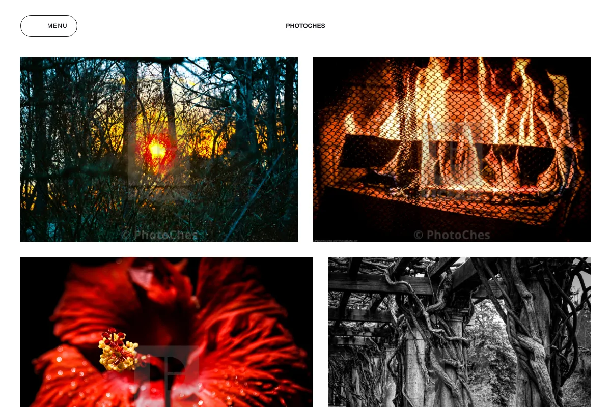 PhotoChes